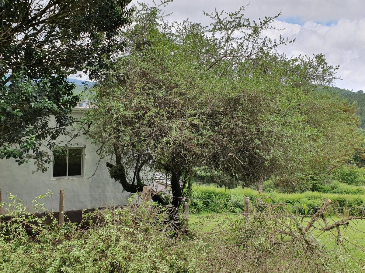 Villa Casas De Raco Extérieur photo